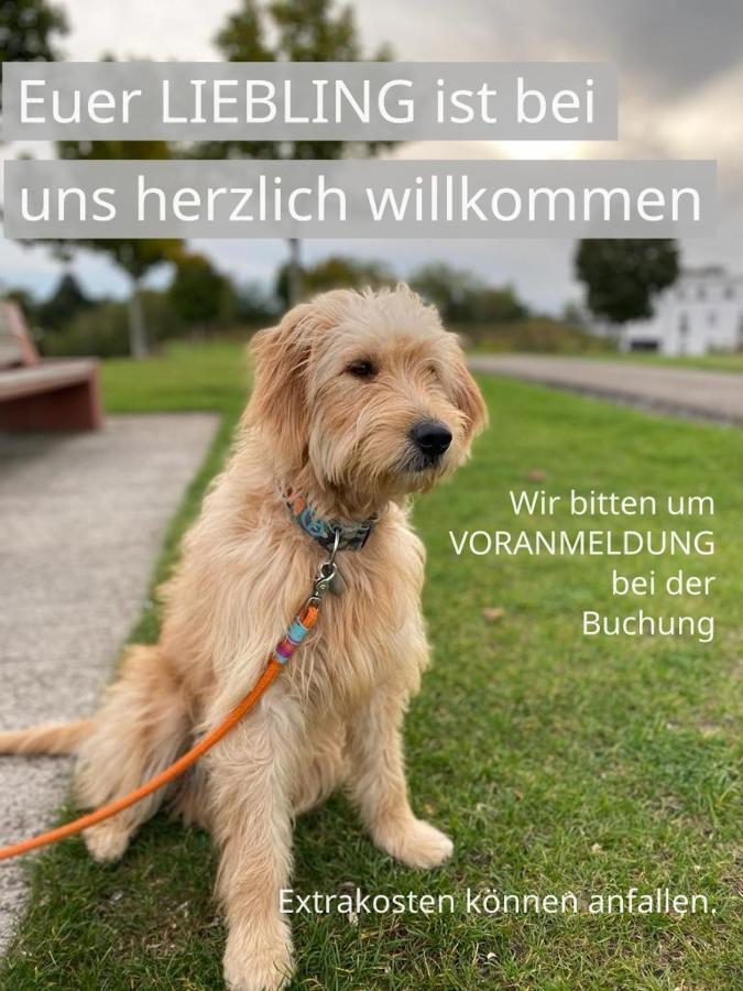 Fewo Clemens - Wohnkueche + 2 Schlafraeume + Bad + Terrasse Hamm  Dış mekan fotoğraf